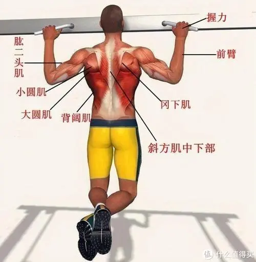 效果待加強(qiáng)！園林管理存在問題：景觀重復(fù)、景觀單調(diào)！
